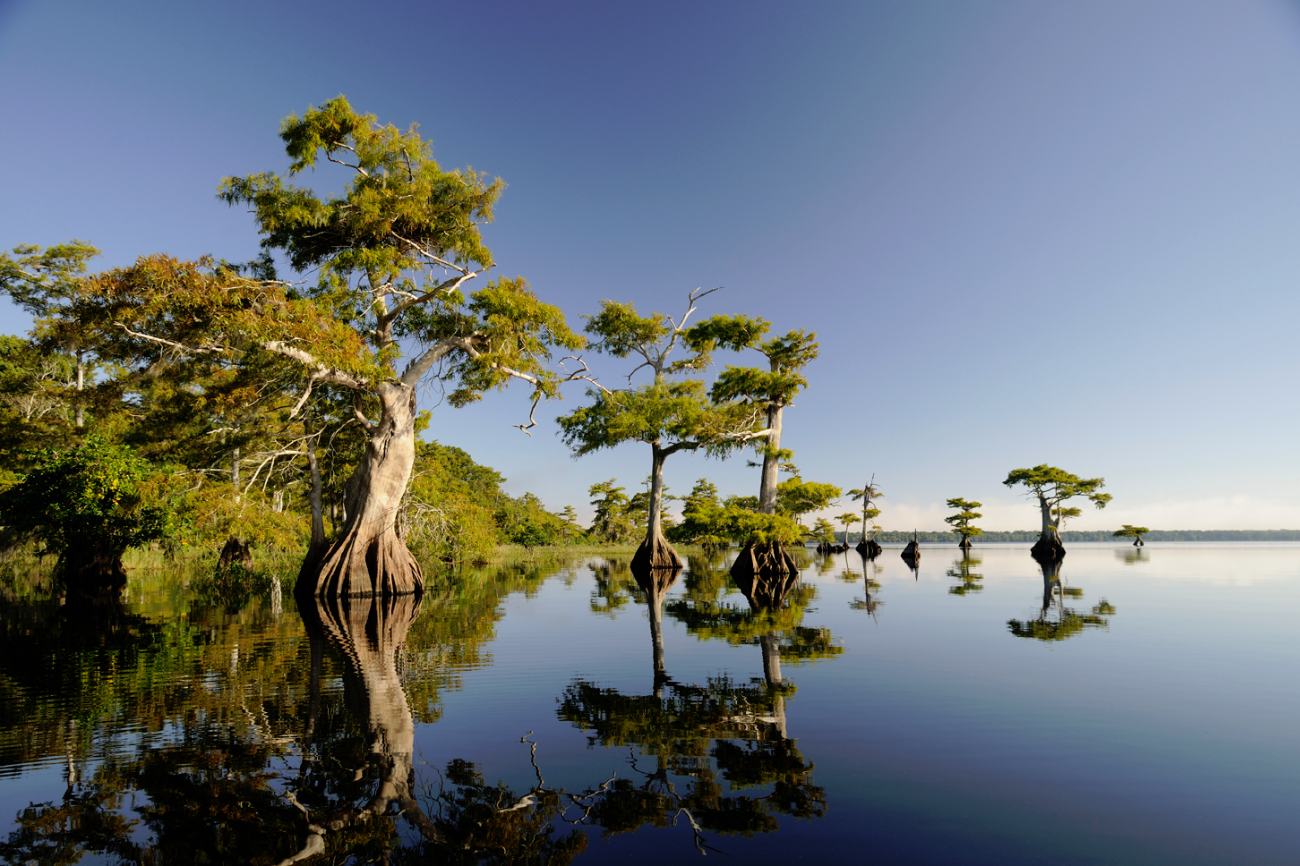U borbi protiv hočkin limfom-a